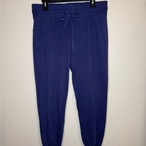Zella Jogger Sweatpants Women’s Large Navy Blue‎